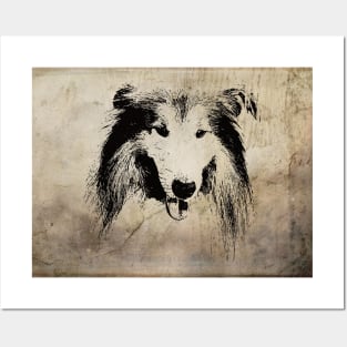 Collie Illustration Posters and Art